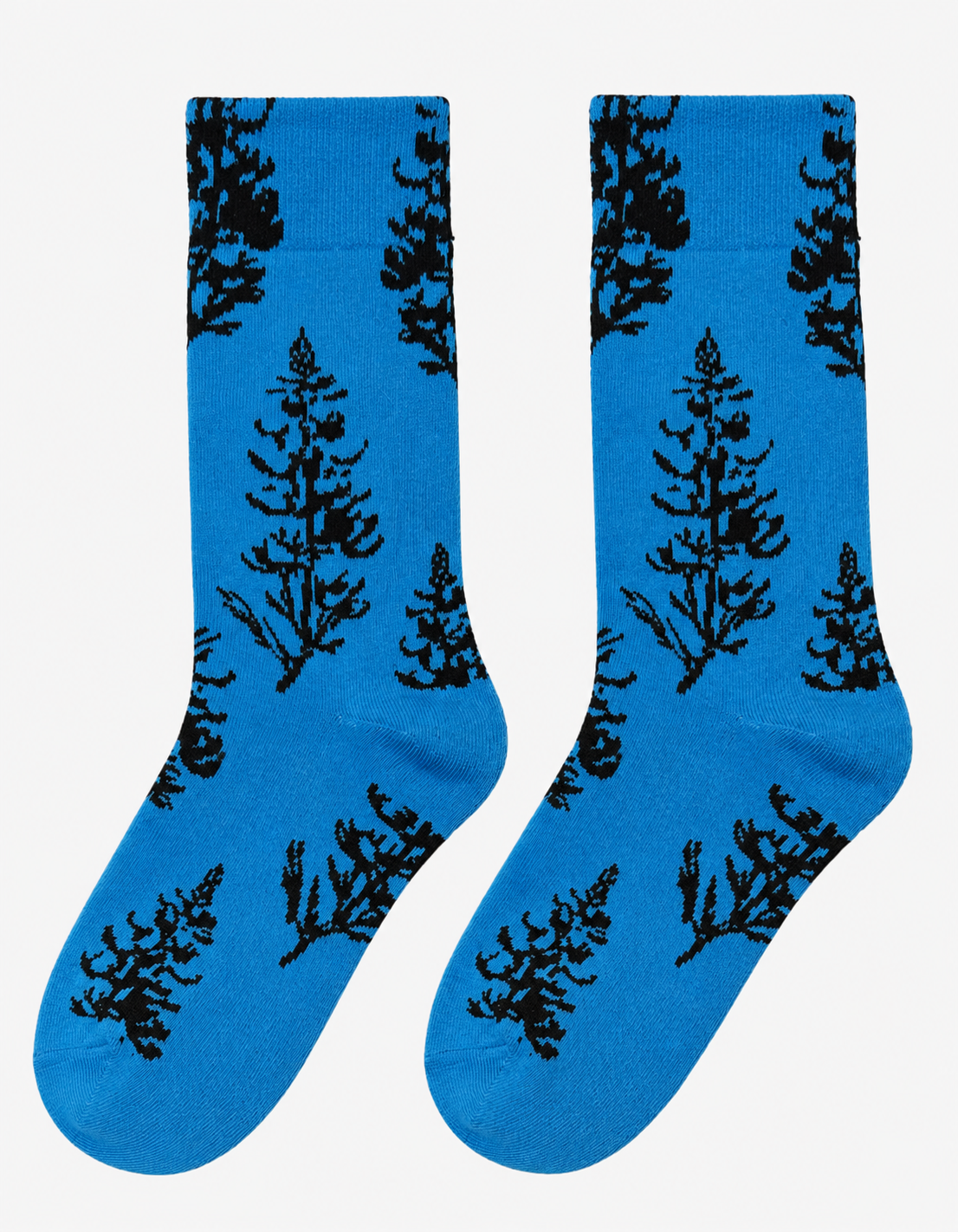 Voir Dire  Socks 5