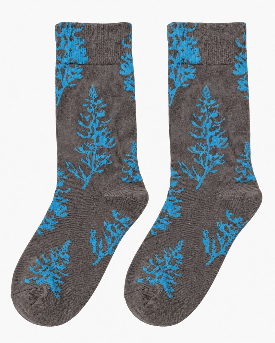 Voir Dire  Socks 1b